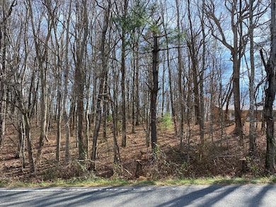 Lot 5 Ivanhoe Rd, Foster Falls, VA 24360 - photo 3