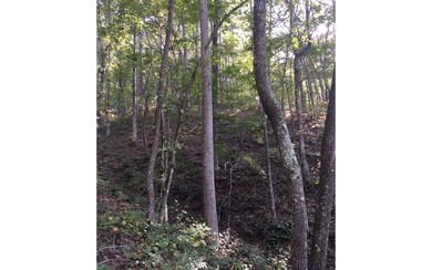 Additional View