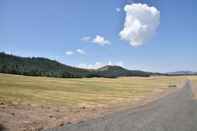 Pebblestone Dr, Plummer, ID 83851 - photo 3