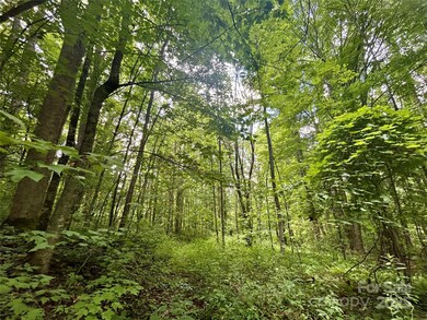 Tract 2 Nips Way, Cullowhee, NC 28723 - photo 4