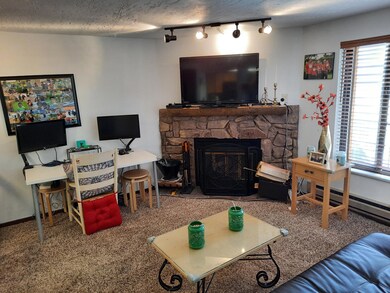 Timberbrook Condo (213) Living Room Fire