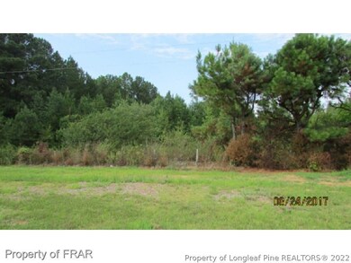 14959 Us 421 S, Gulf, NC 27312 - photo 3