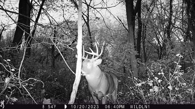 +/-25 Acres Bee Ln, Lancaster, WI 53813 - photo 3