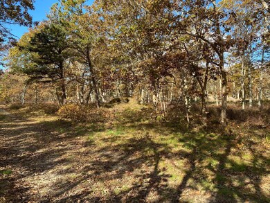 11 Brown Rd, Edgartown, MA 02539 - photo 2