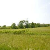 1370 Jackson Pike unit G, Harrodsburg, KY 40330 - photo 4