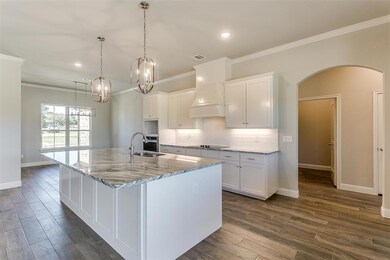 1032 Henry Way, Springtown, TX 76082 - photo 4