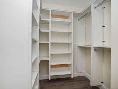Master bedroom walk-in closet