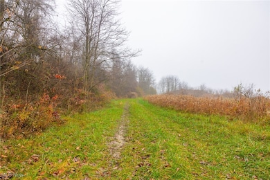 152 County Road 3, Mount Pleasant Township, OH 43943 - photo 2