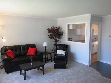 1082 James St, Chicopee, MA 01022 - photo 6