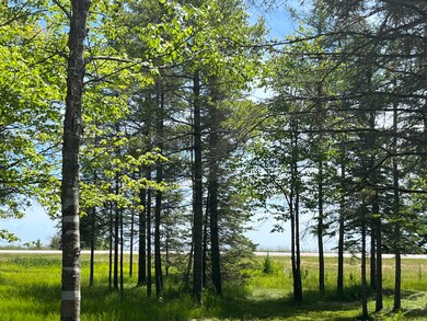 Lake Michigan View
