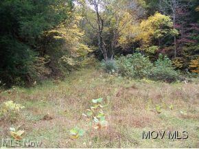 Open area