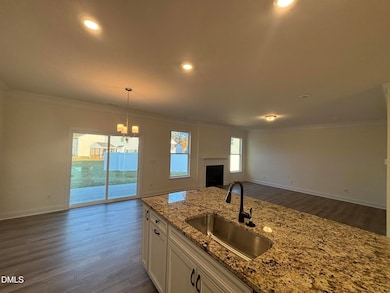 Kitchen into Family Room