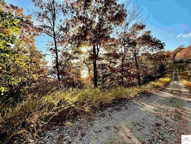 Lot  20 Lake Horizons Rd, Gravois Mills, MO 65037 - photo 2