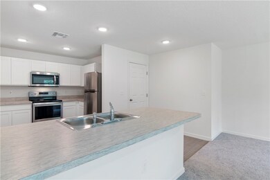 Efficient kitchen with Stainless Steel Appliances