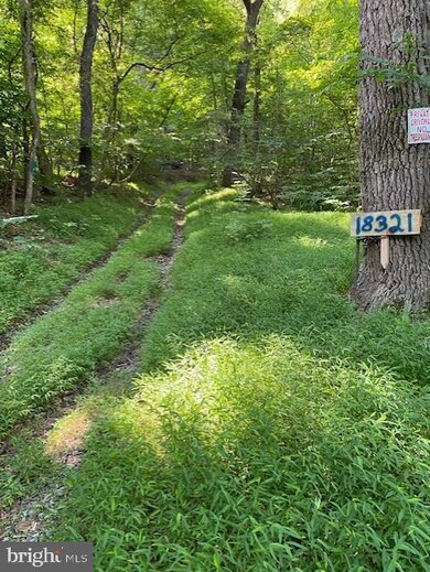 18321 Mount Lock Canal Rd, Sharpsburg, MD 21782 - photo 6