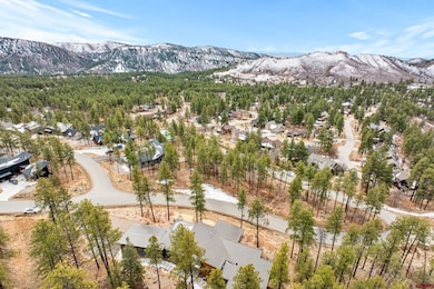 72 Cabin Creek Dr, Durango, CO 81301 - photo 6