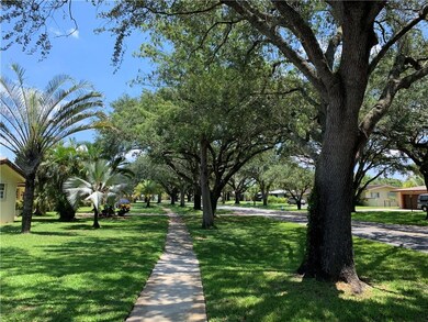 Tree-lined public sidewalk