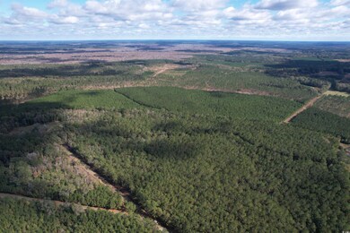 26 Acres-TBD Puncheon Creek Dr, Andrews, SC 29510 - photo 3