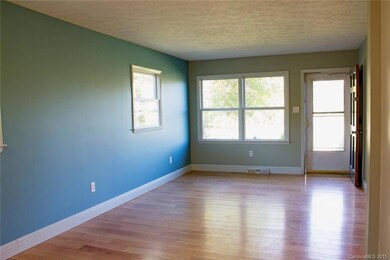 1217 Bear Creek Rd, Leicester, NC 28748 - photo 3