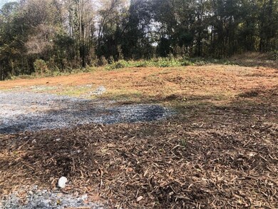 oo Hamberg St, Pendleton, SC 29670 - photo 5