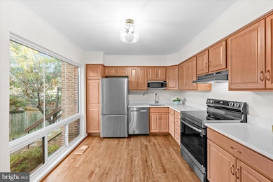 4619 Mayhunt Ct, Alexandria, VA 22312 - photo 4