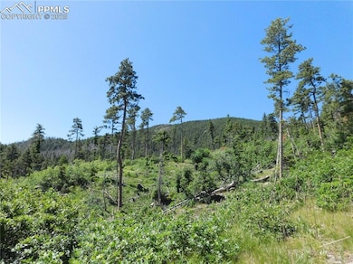 8249 Yuma Cir, Larkspur, CO 80118 - photo 6