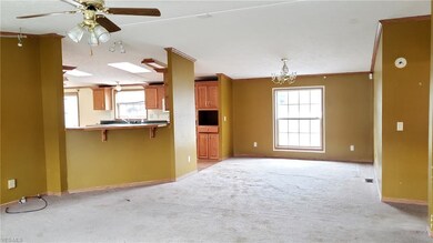 3650 N County Line Rd, Geneva, OH 44041 - photo 4