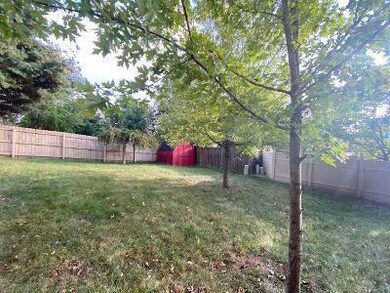 Shed in backyard