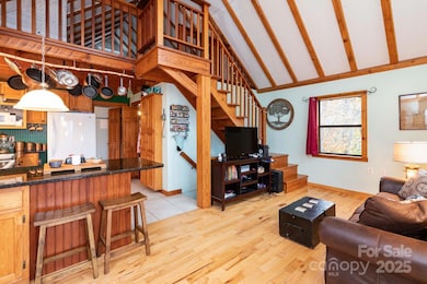 35 Norton Branch Rd, Marshall, NC 28753 - photo 5