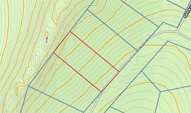 Lot 11, Block 11 Thaxted Dr, Bella Vista, AR 72715 - photo 4