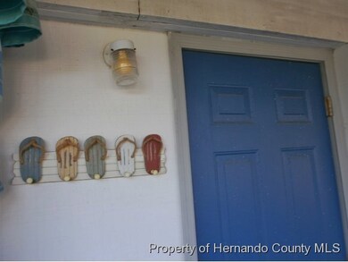 3183 Hibiscus Dr, Hernando Beach, FL 34607 - photo 5