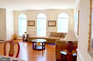 22532 Scattersville Gap Terrace, Ashburn, VA 20148 - photo 6