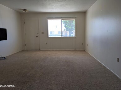 Nice size Living Room