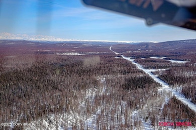 21577 E Quarah Lake Ave, Talkeetna, AK 99676 - photo 5