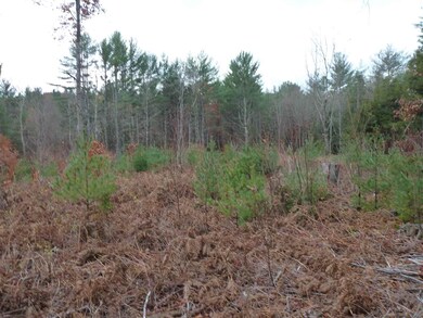 50 Nash Corner Rd, Gilsum, NH 03448 - photo 6