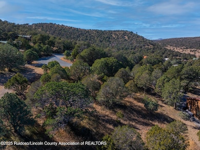 DJI_20251110131958_0486_D