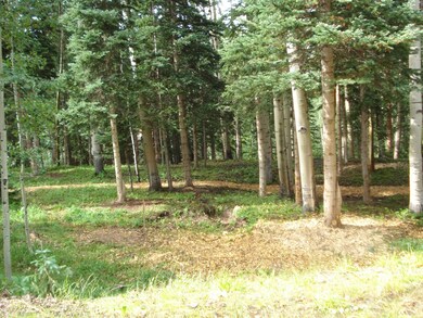 more path