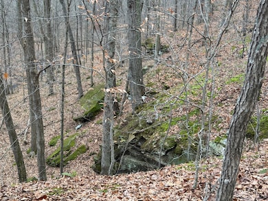 TBD1 E Willow Rd, Jackson Township, IN 47424 - photo 4