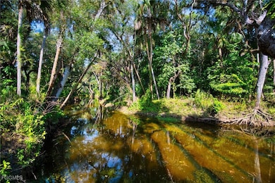 14221 River Rd, Fort Myers, FL 33905 - photo 2