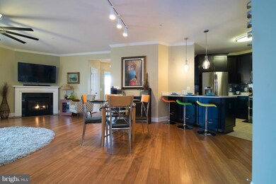 24636 Woolly Mammoth Terrace unit 200, Aldie, VA 20105 - photo 4