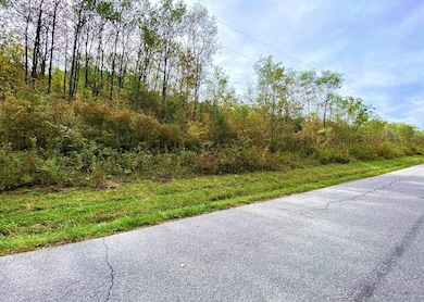 0 Tinkertown Rd unit R1651977, Tuscarora, NY 14801 - photo 7