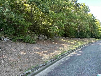 0 Bellerive Cir unit 21390746, Oneonta, AL 35121 - photo 3