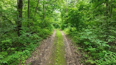 1764 Highway 63, Turtle Lake, WI 54889 - photo 5