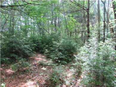 12 Summit View Dr, Moultonborough, NH 03254 - photo 2