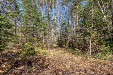5 Fernald's Hill Way, Stow, ME 04037 - photo 5