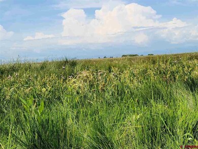 TBD Rd Road 112 S, Alamosa, CO 81101 - photo 5