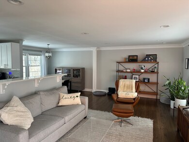 129 Tupelo Ave, Naperville, IL 60540 - photo 2