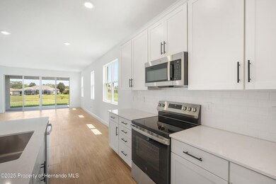 9176 Players Dr, Weeki Wachee, FL 34613 - photo 7