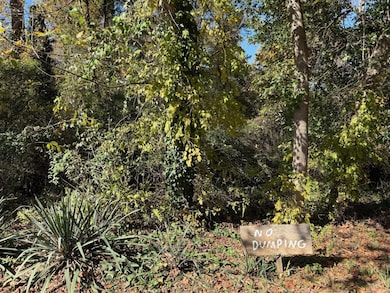 3285 Lake Dr, Lawrenceville, GA 30044 - photo 3