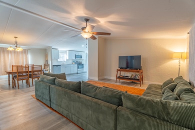 1207 Derby Dr, Cohutta, GA 30710 - photo 4